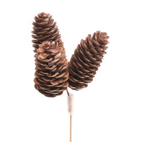 Spruce Cones x3 6-8cm on 50cm stick natural