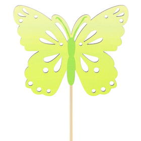 Schmetterling Zazou 8cm auf 50cm stick FSC* grün