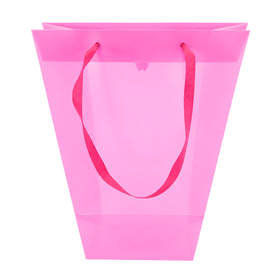 Carrybag Uni 24/11x12/11x26cm pink