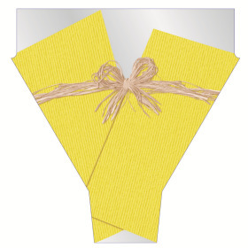 Sleeve Raff 54x35x10cm yellow with colour inside