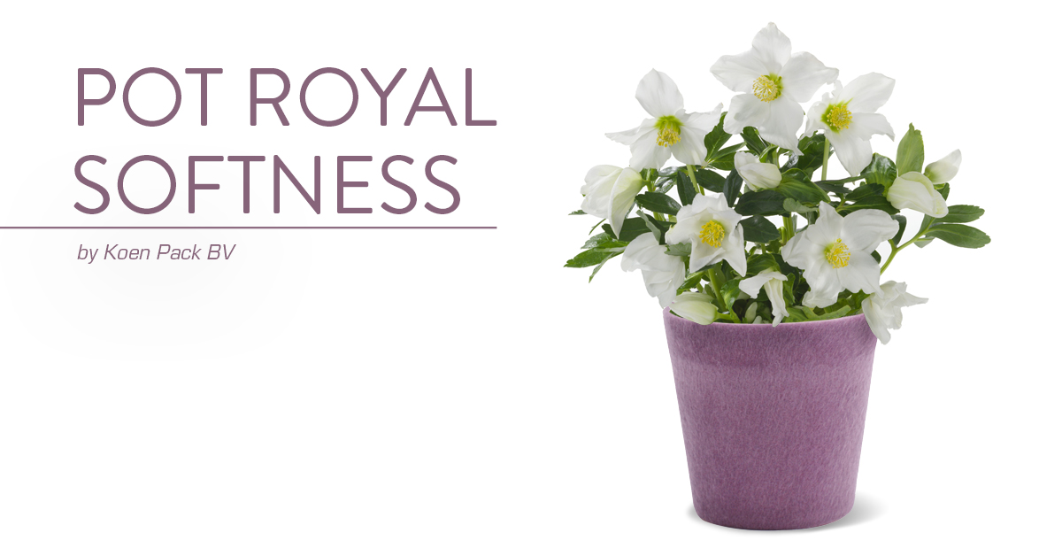 Pot Royal Softness