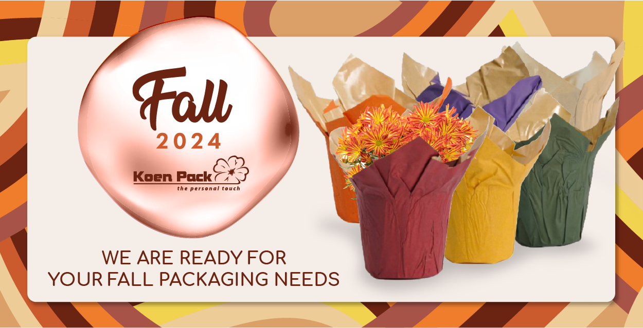 Fall Packaging 2024