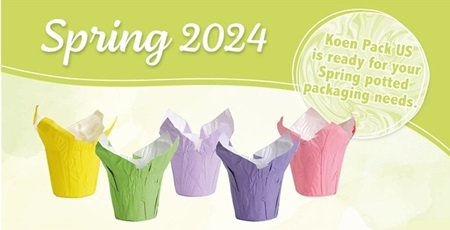 Spring Potted Packaging