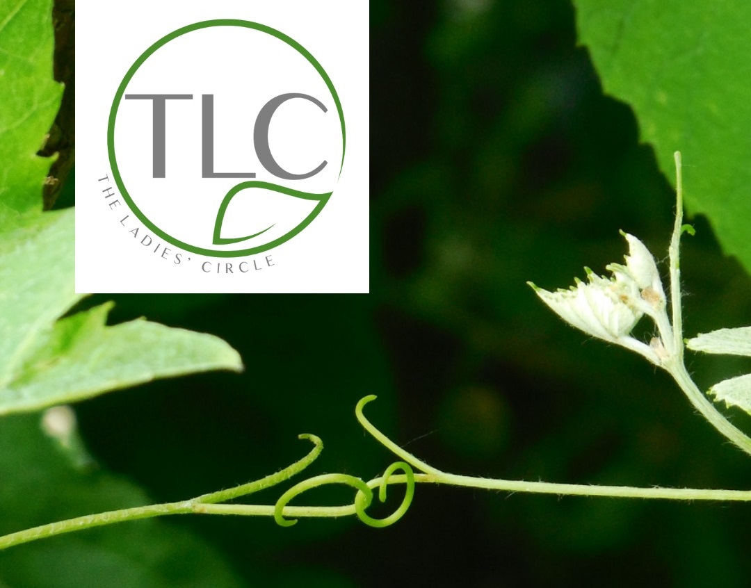 TLC Greentech