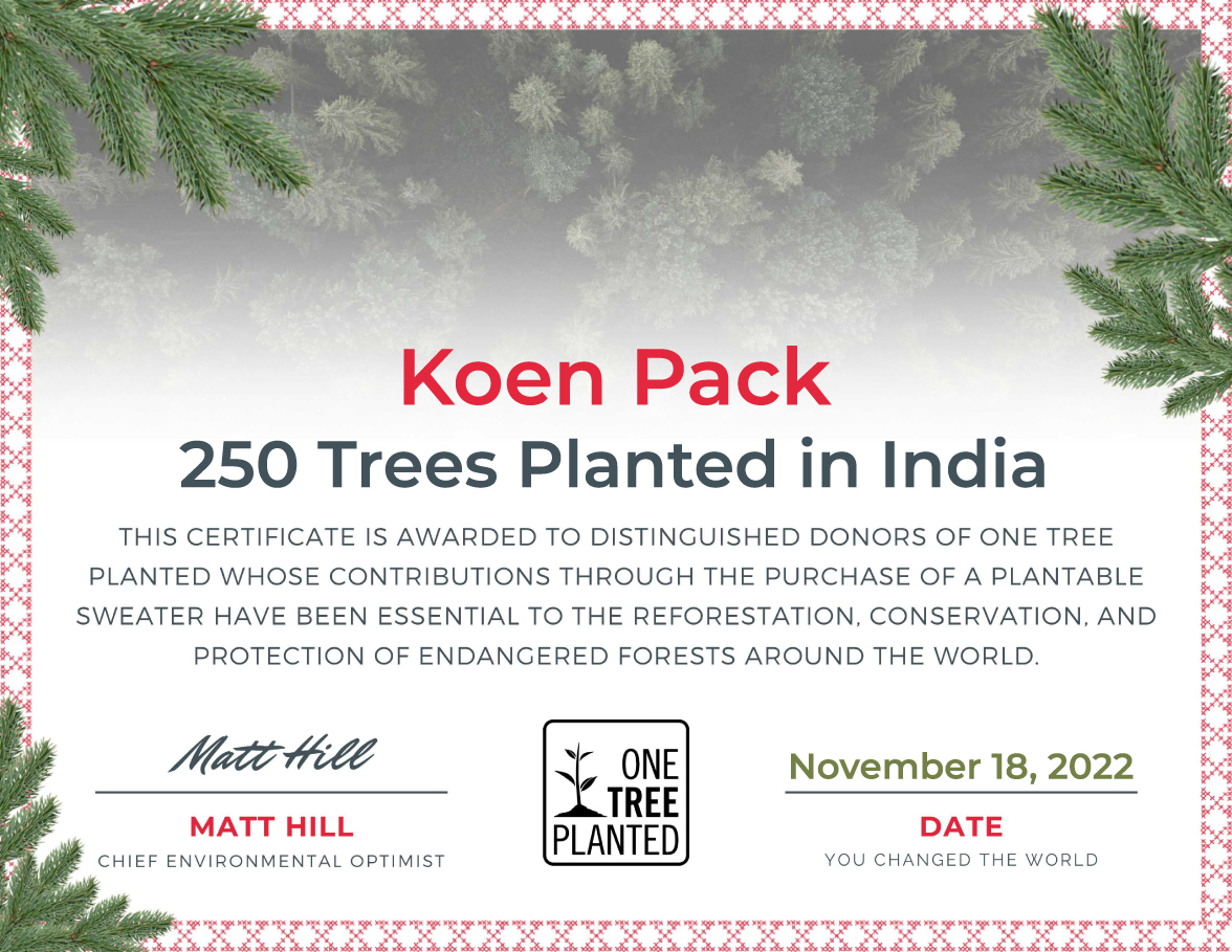 250 bomen gepland in India