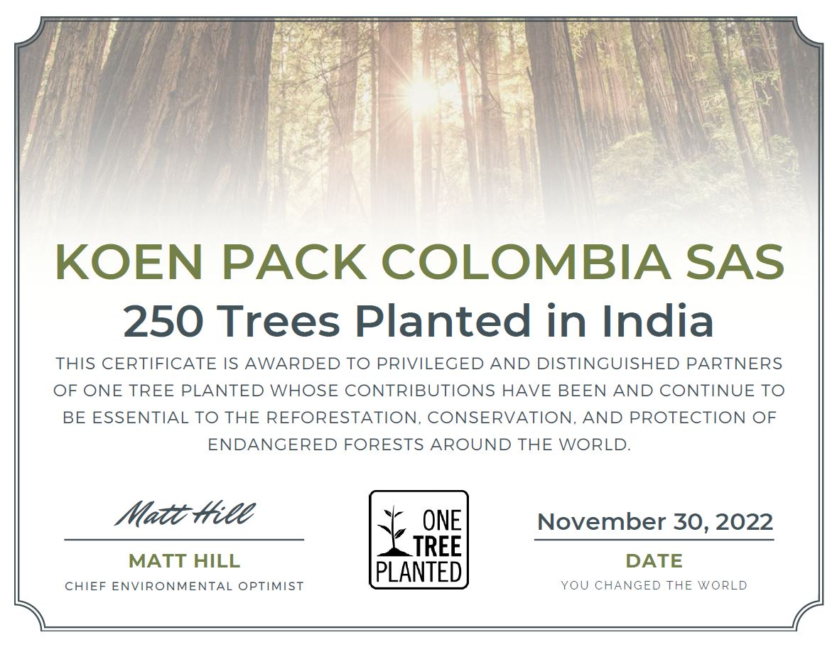 250 arbres plantés India