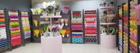 Showroom thumb